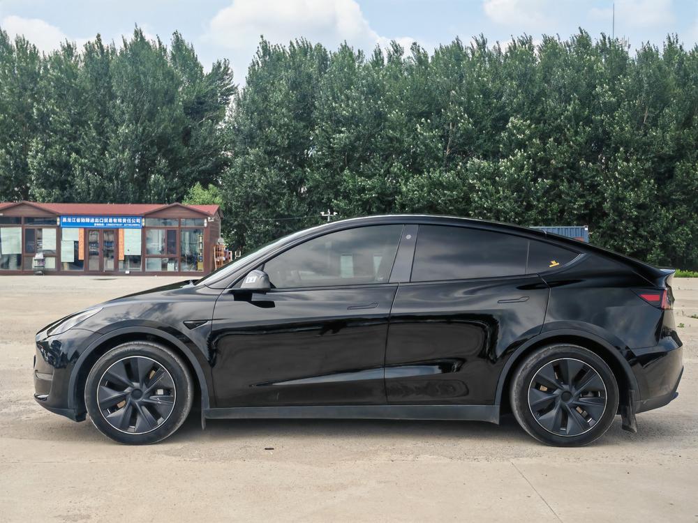 Tesla Model Y 2021 car image #4