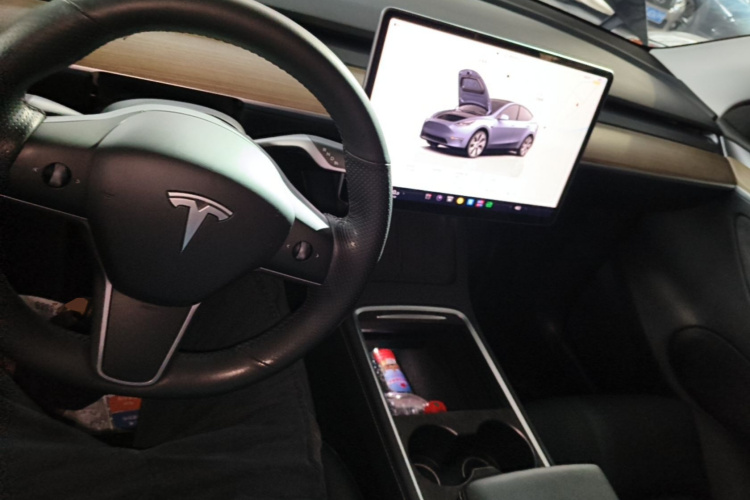 Tesla Model Y 2022 immagine di auto #10