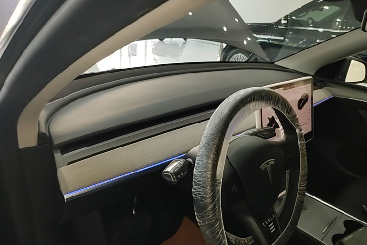 Tesla Model Y 2025 car image #10