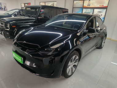 Tesla Model Y 2023 Tesla Model Y 2023 car image