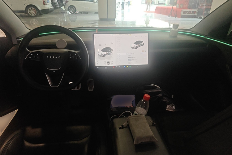 Tesla Model 3 2024 immagine di auto #10