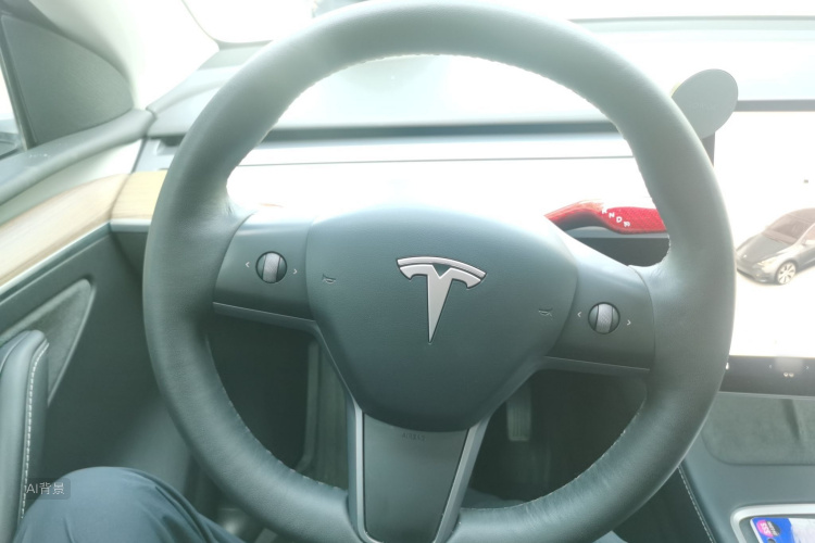 Tesla Model Y 2022 #12 Tesla Model Y 2022 car image #12