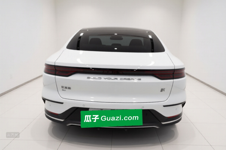 BYD Han 2022 car image #6