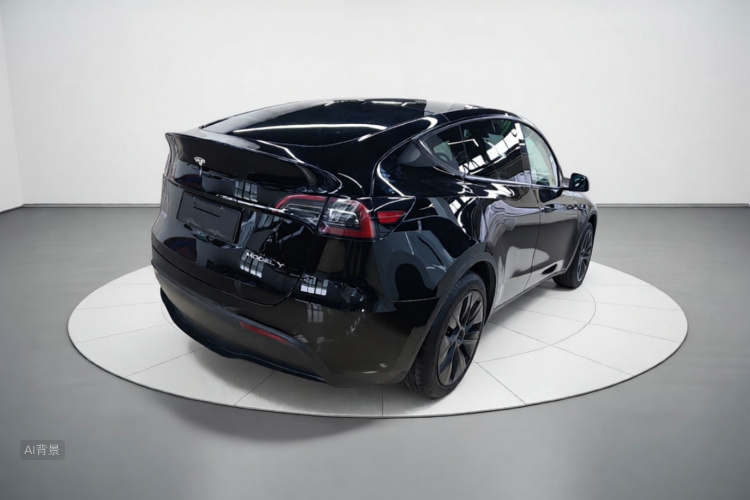 Tesla Model Y 2023 car image #7