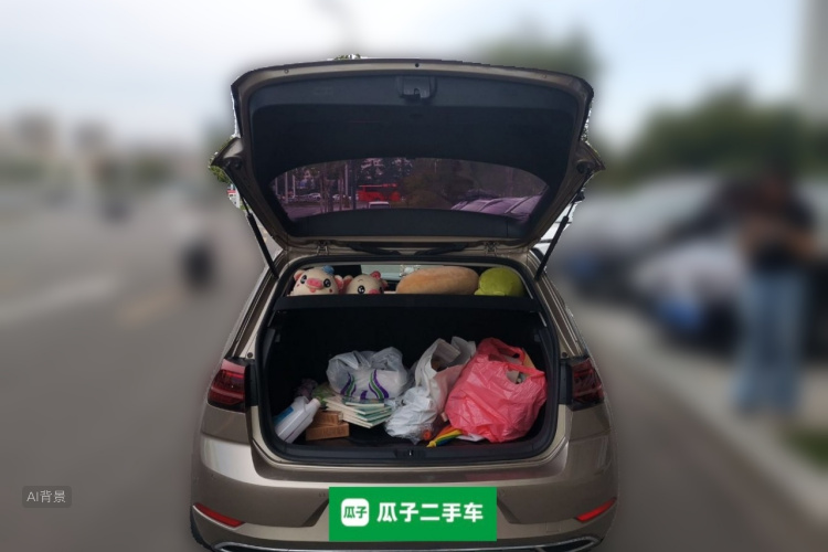 Volkswagen Golf 2019 #21 Volkswagen Golf 2019 car image #21