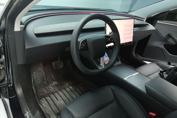 Tesla Model 3 2024 immagine di auto #10