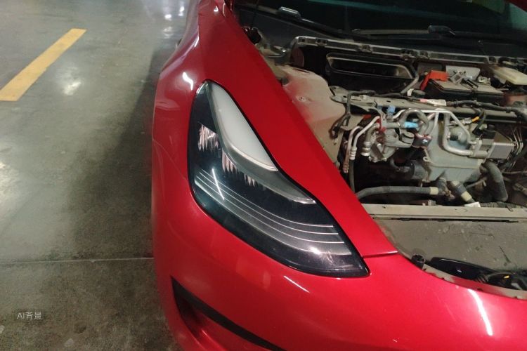 Tesla Model 3 2020 #8 Tesla Model 3 2020 car image #8