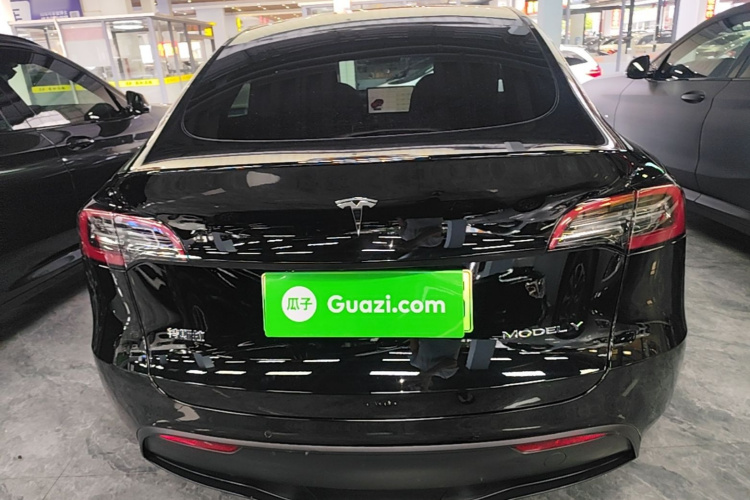 Tesla Model Y 2023 car image #6