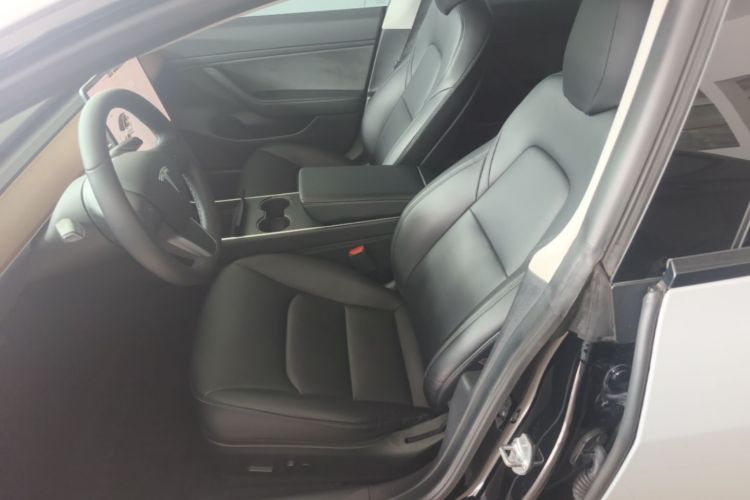 Tesla Model 3 2020 #15 Tesla Model 3 2020 immagine di auto #15