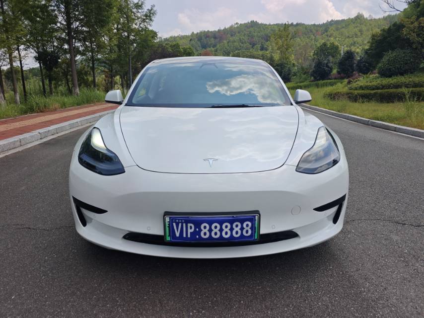 Tesla Model 3 2021 car image #2