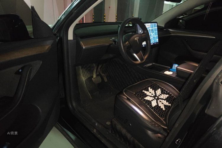 Tesla Model Y 2021 car image #18