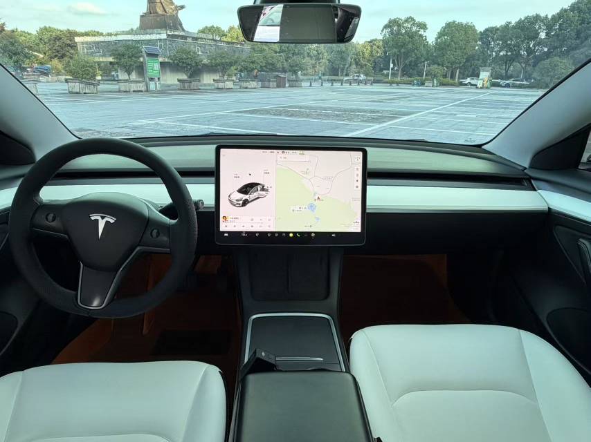 Tesla Model 3 2021 #9 Tesla Model 3 2021 изображение автомобиля #9