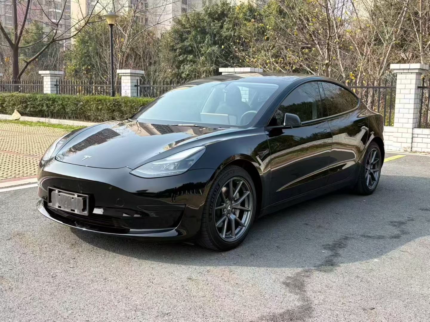 Tesla Model 3 2021 Tesla Model 3 2021 car image