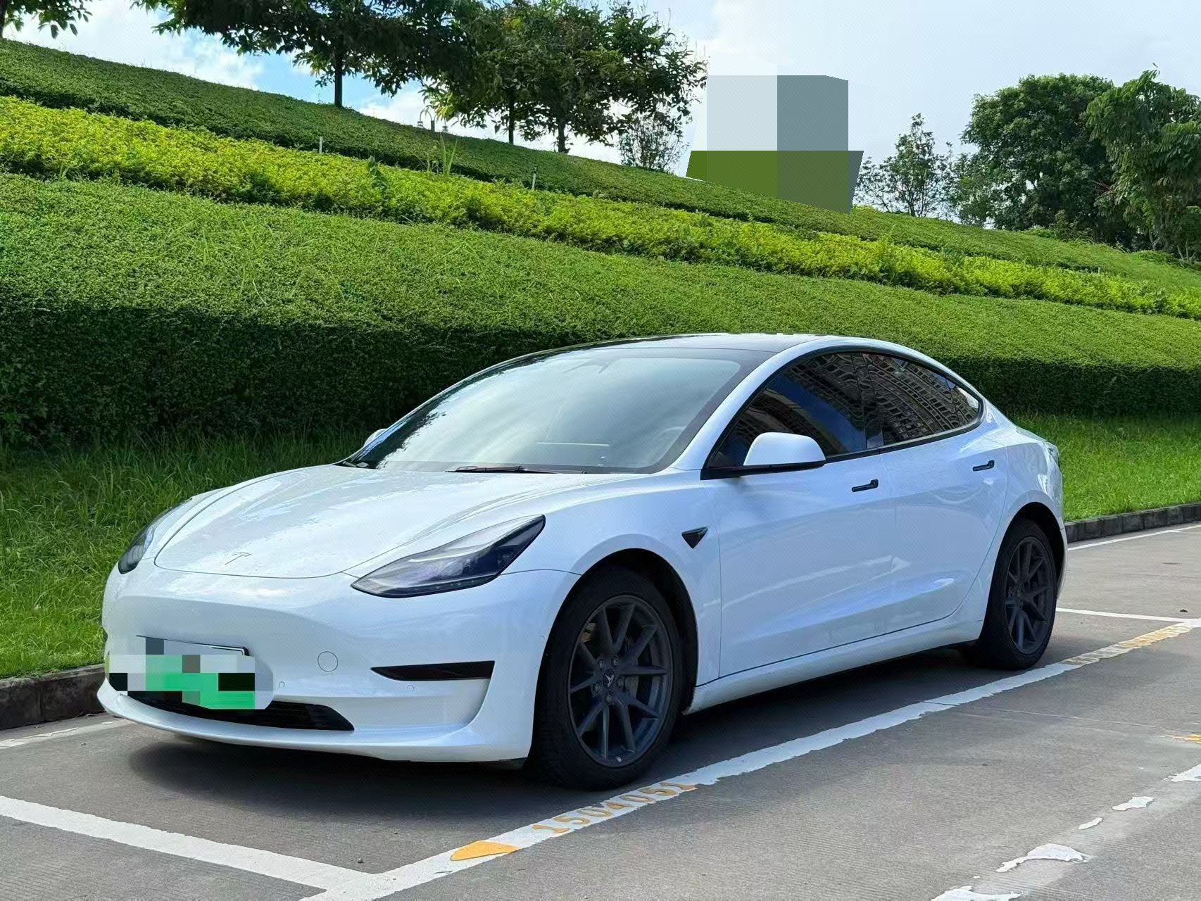 Tesla Model 3 2022 Tesla Model 3 2022 car image