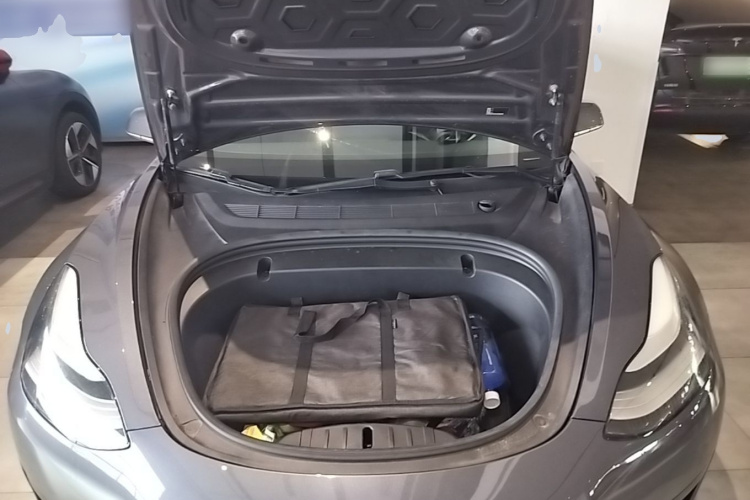 Tesla Model 3 2020 car image #20
