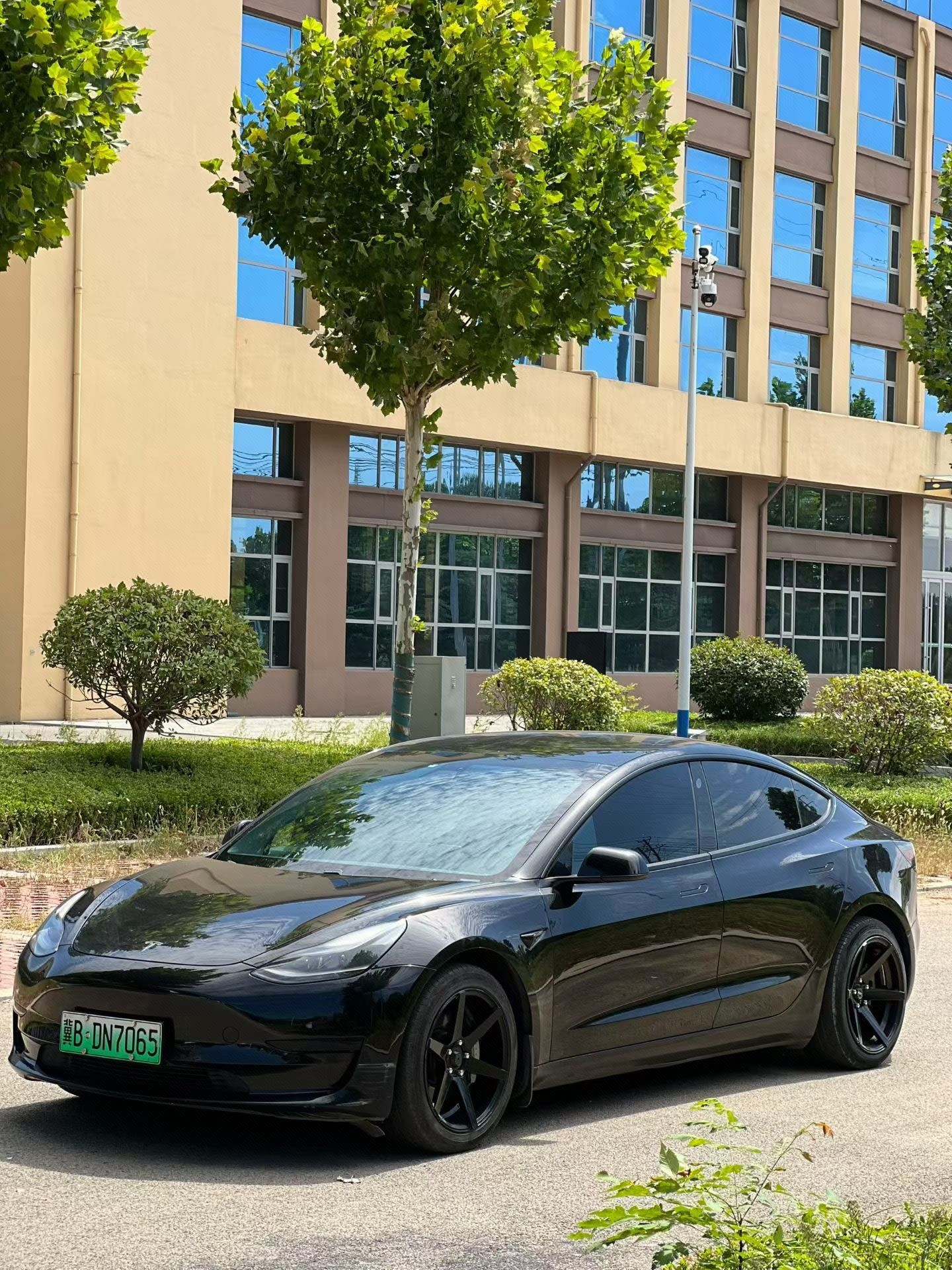 Tesla Model 3 2021 изображение автомобиля 