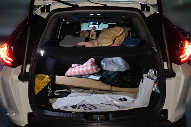 Honda CR-V 2022 car image #21