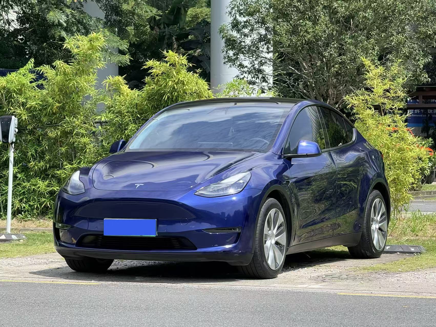 Tesla Model Y 2021 car image 