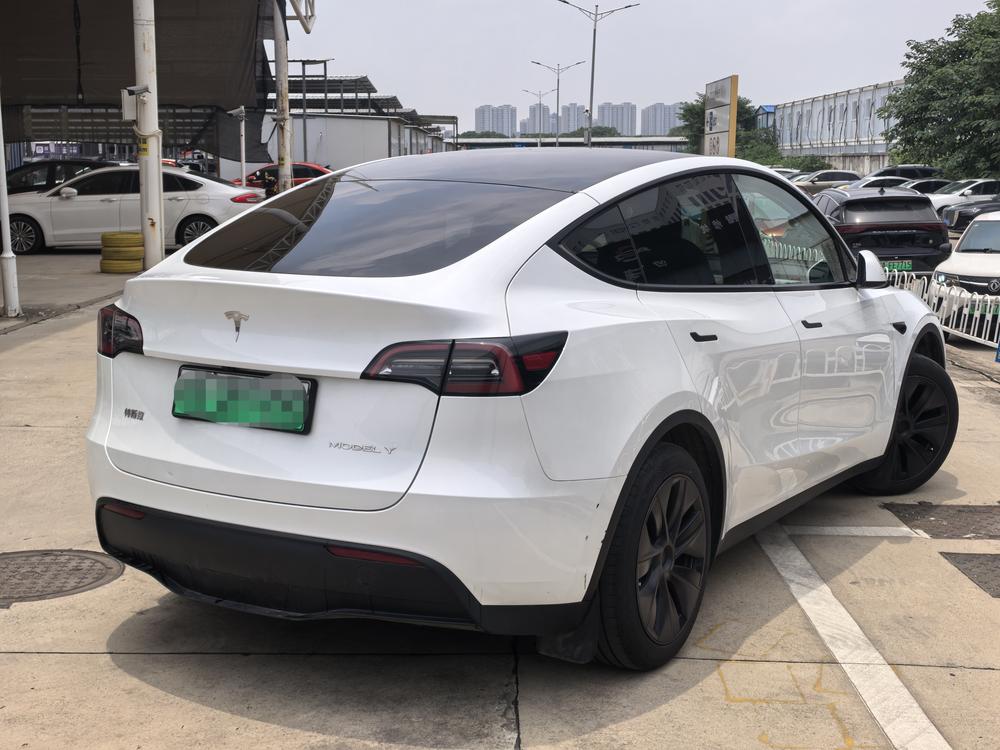 Tesla Model Y 2024 car image #10