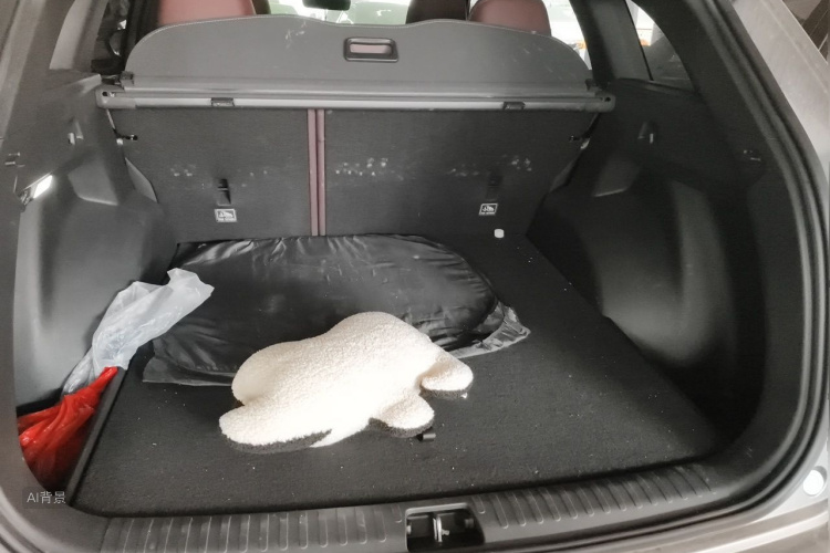 GEELY Monjaro 2023 car image #21