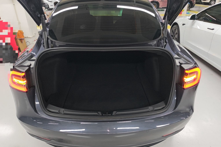 Tesla Model 3 2021 car image #23
