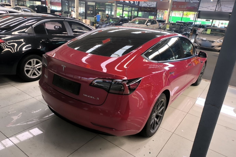 Tesla Model 3 2021 #5 Tesla Model 3 2021 car image #5