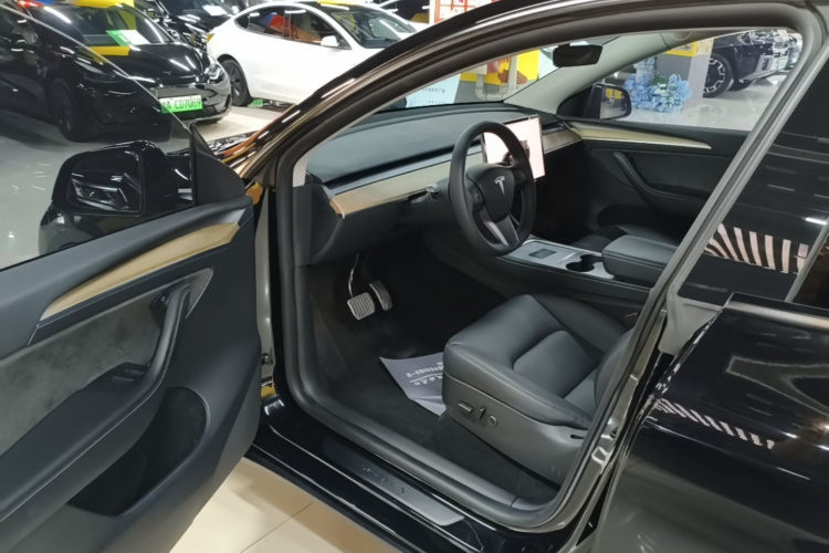 Tesla Model Y 2022 car image #16