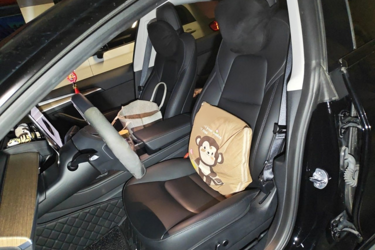 Tesla Model 3 2023 #19 Tesla Model 3 2023 car image #19