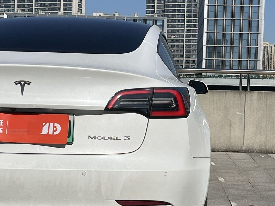 Tesla Model 3 2021 car image #10