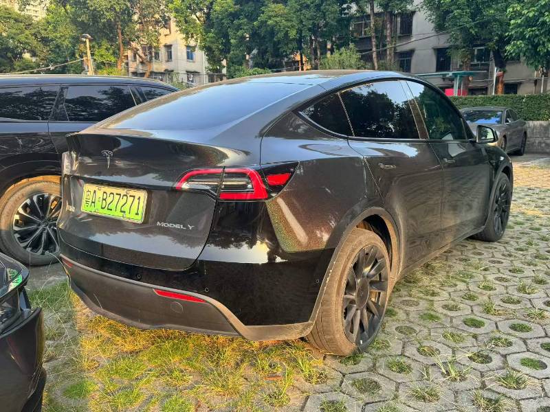 Tesla Model Y 2022 immagine di auto #3