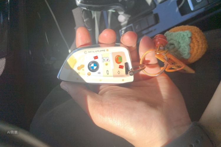 BMW X1 2022 car image #10