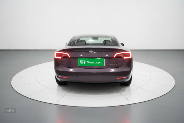 Tesla Model 3 2022 car image #6