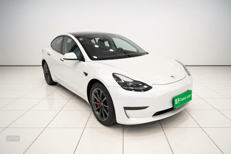 Tesla Model 3 2021 car image #4
