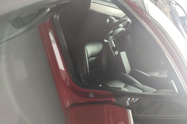 Tesla Model 3 2020 car image #16
