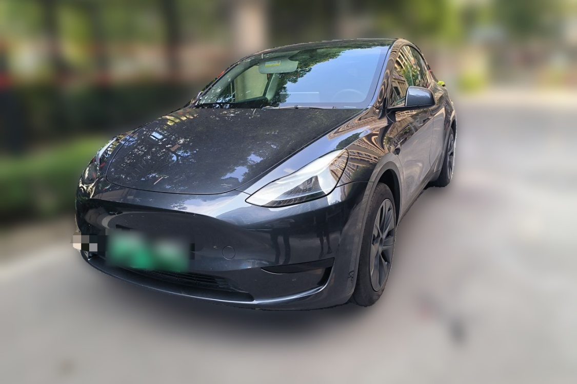 Tesla Model Y 2024 Tesla Model Y 2024 car image