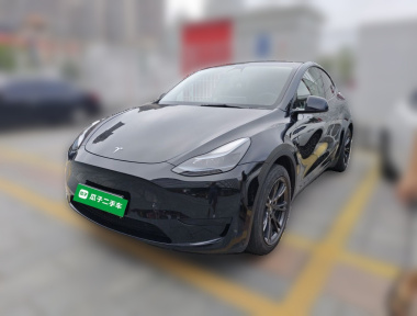 Tesla Model Y 2023 Tesla Model Y 2023 car image