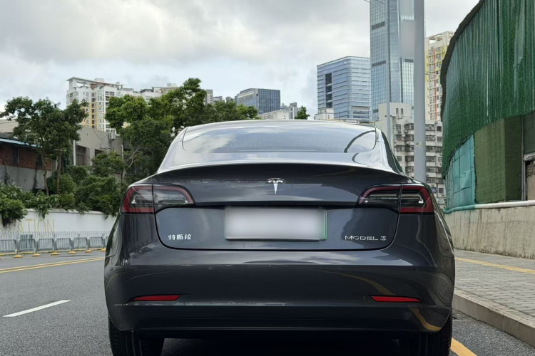 Tesla Model 3 2020 car image #4