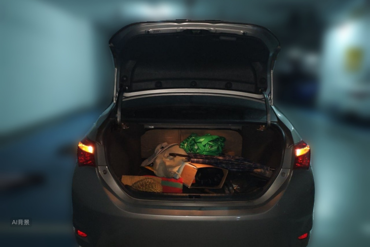 Toyota Corolla 2017 car image #21