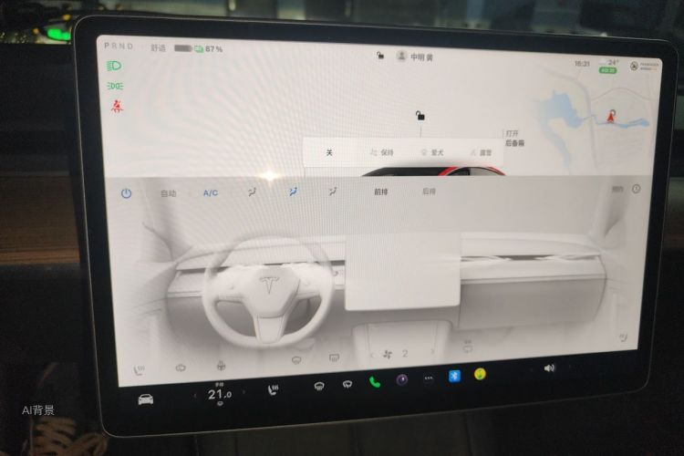 Tesla Model 3 2022 car image #15