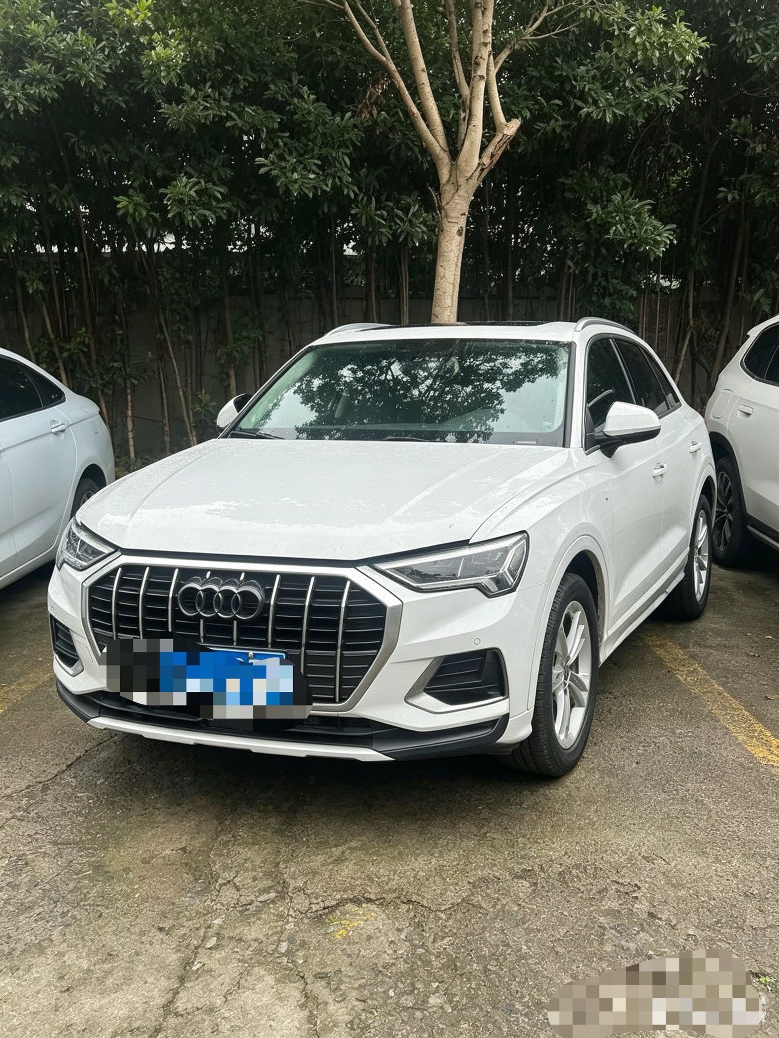 Audi Q3 2019 Audi Q3 2019 car image