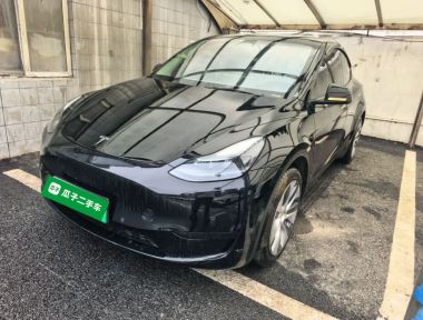 Tesla Model Y 2023 car image 
