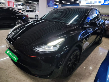 Tesla Model Y 2023 Tesla Model Y 2023 car image