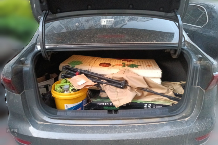 GEELY Emgrand 2025 immagine di auto #21