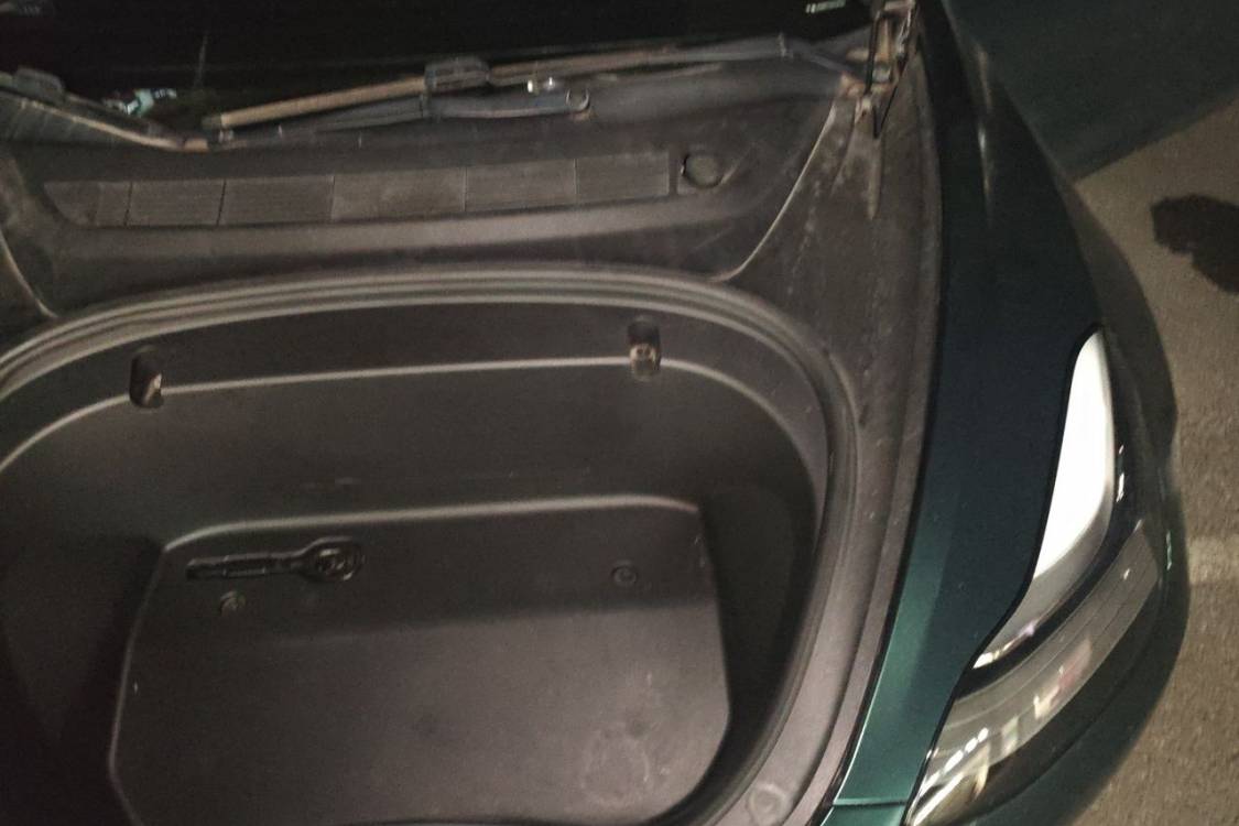 Tesla Model 3 2020 #12 Tesla Model 3 2020 car image #12