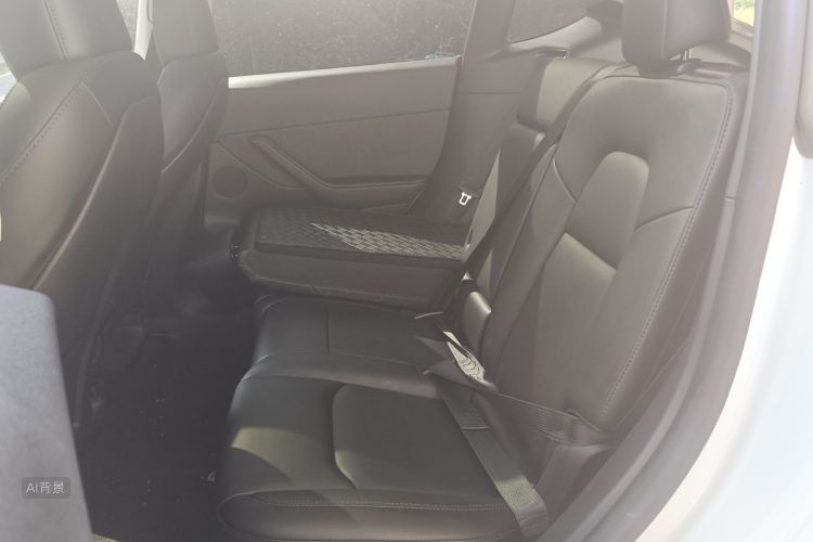 Tesla Model Y 2024 car image #19