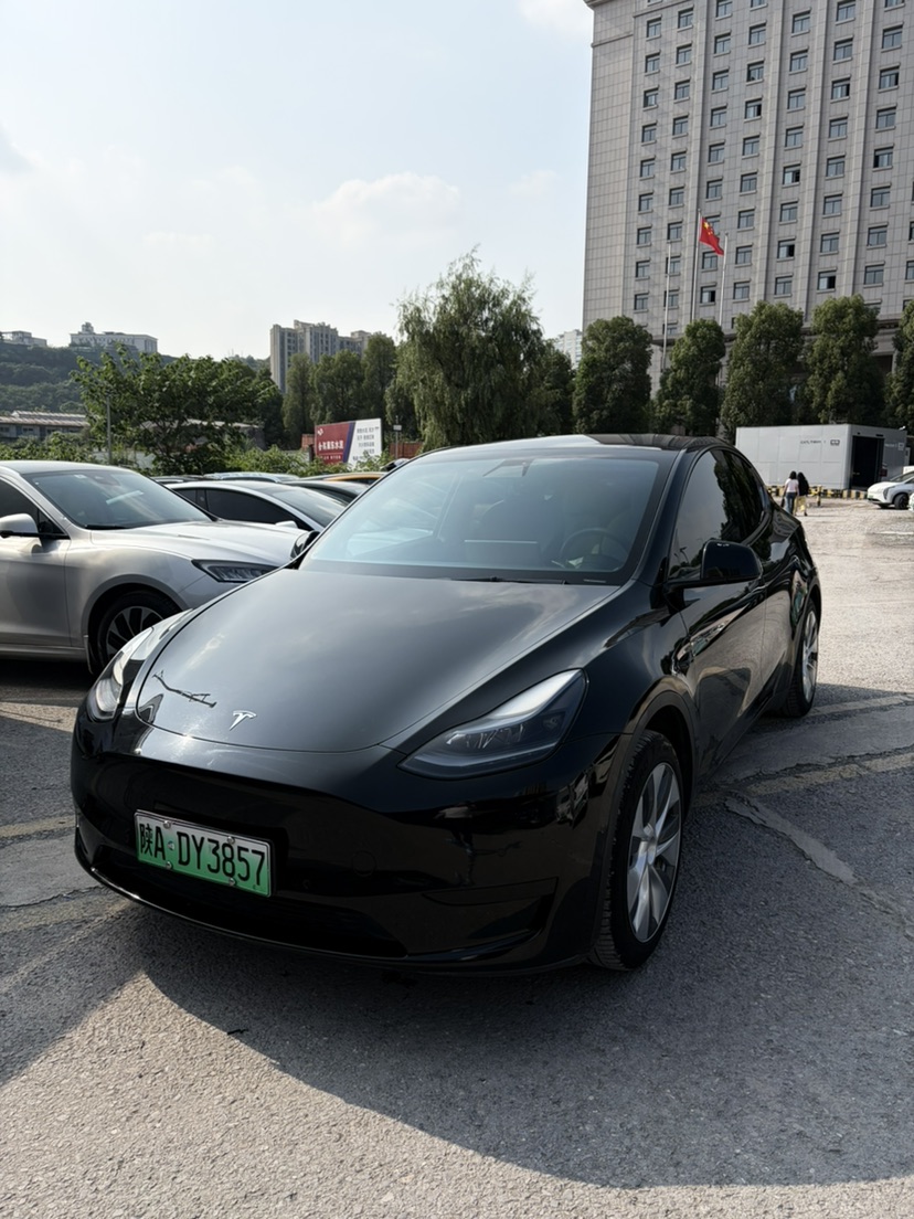 Tesla Model Y 2022 Tesla Model Y 2022 car image