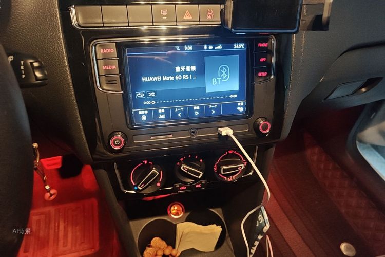 Volkswagen Polo 2015 car image #15