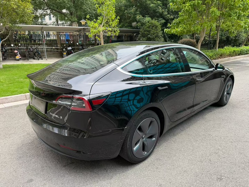 Tesla Model 3 2020 car image #6