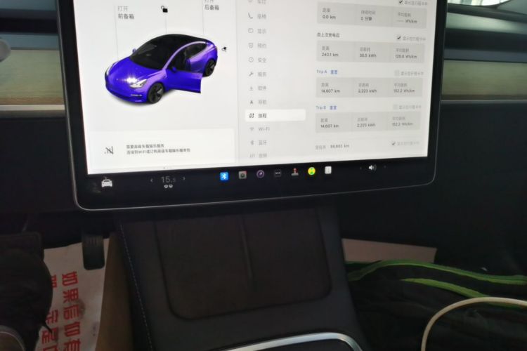 Tesla Model 3 2021 car image #13