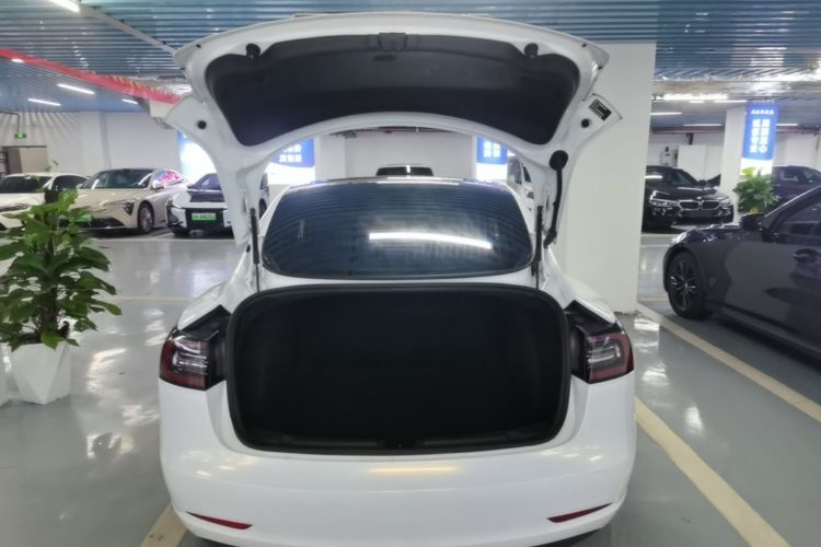 Tesla Model 3 2020 #19 Tesla Model 3 2020 car image #19